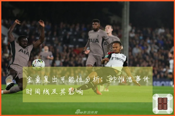 金童复出可能性分析：帅惟浩事件时间线及其影响