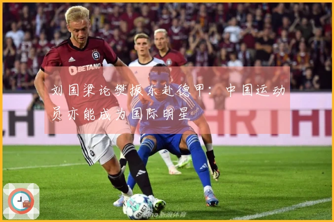 刘国梁论樊振东赴德甲：中国运动员亦能成为国际明星